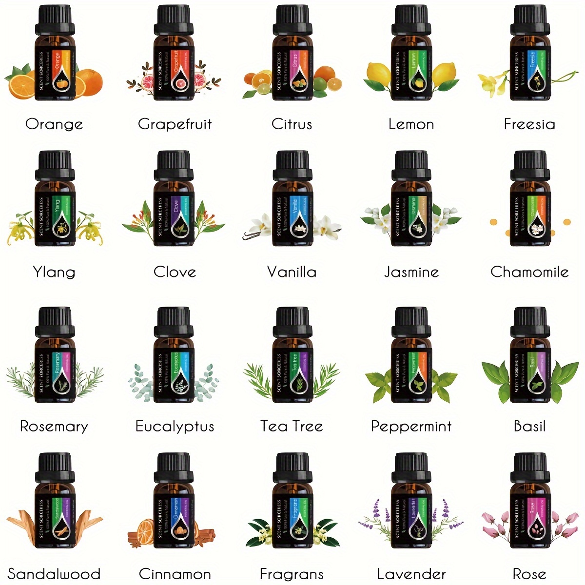 20個/セット エッセンシャルオイルセット ラベンダー ユー - Perfume Fragrance Oil のレビューと価格