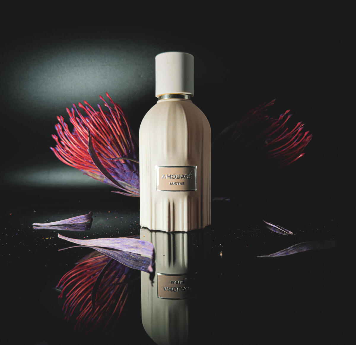 アムアージュ ラスター パフューム 100ml 高級感あふれ - Perfume Fragrance Families のレビューと価格